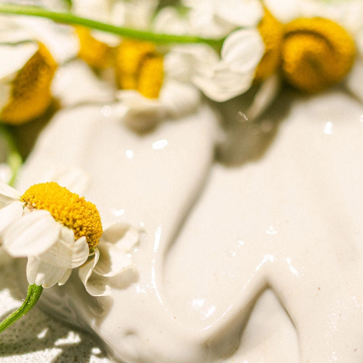 Chamomile & Tansy Hydrating Cream Cleanser